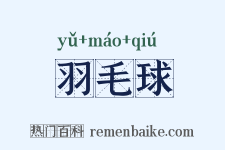 羽毛球是什么意思的图片